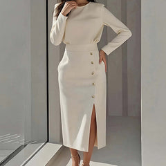 Elegant Style Round Neck Solid Color Dress Long Dress for Women