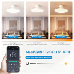 Jelena Invisible Fan Light with 3 Retractable Blades Bedroom Living Room